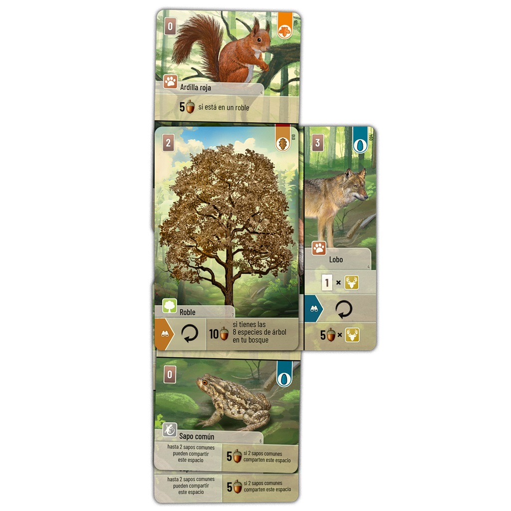 Forest Shuffle - Imagen 2